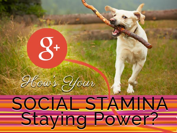social stamina and staying power 