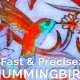 Google Hummingbird algorithm