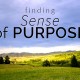 find a sense of purpose