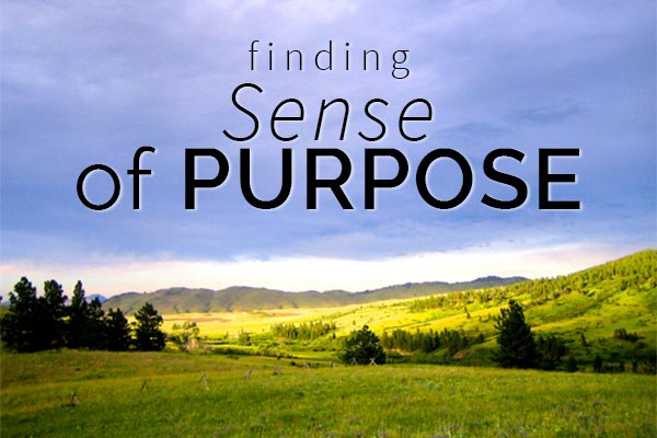 find a sense of purpose