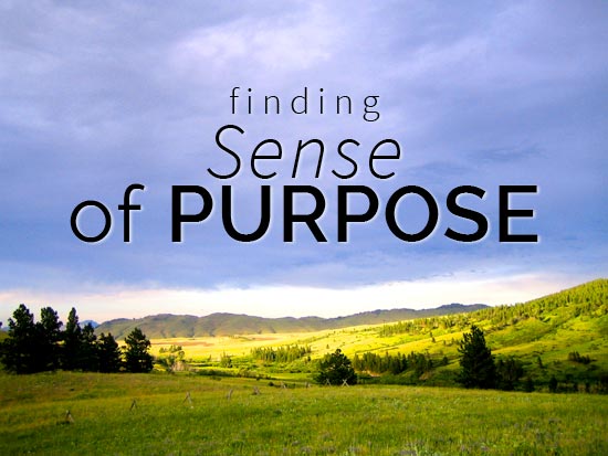 Finding a sense of purpose