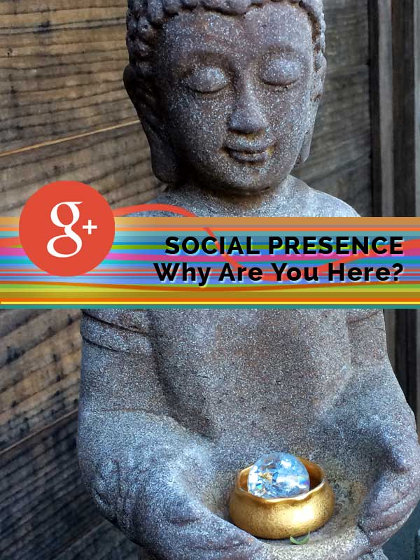 social presence field book for google plus