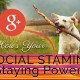social stamina staying power dog running with stick Fat Eyes Web Development blog