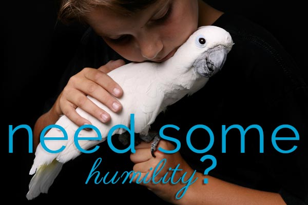 Humility in social media and business Fat Eyes Web Development blog