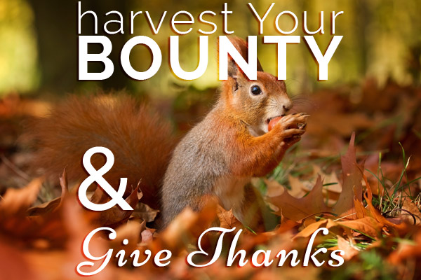 harvest your bounty and give thanks