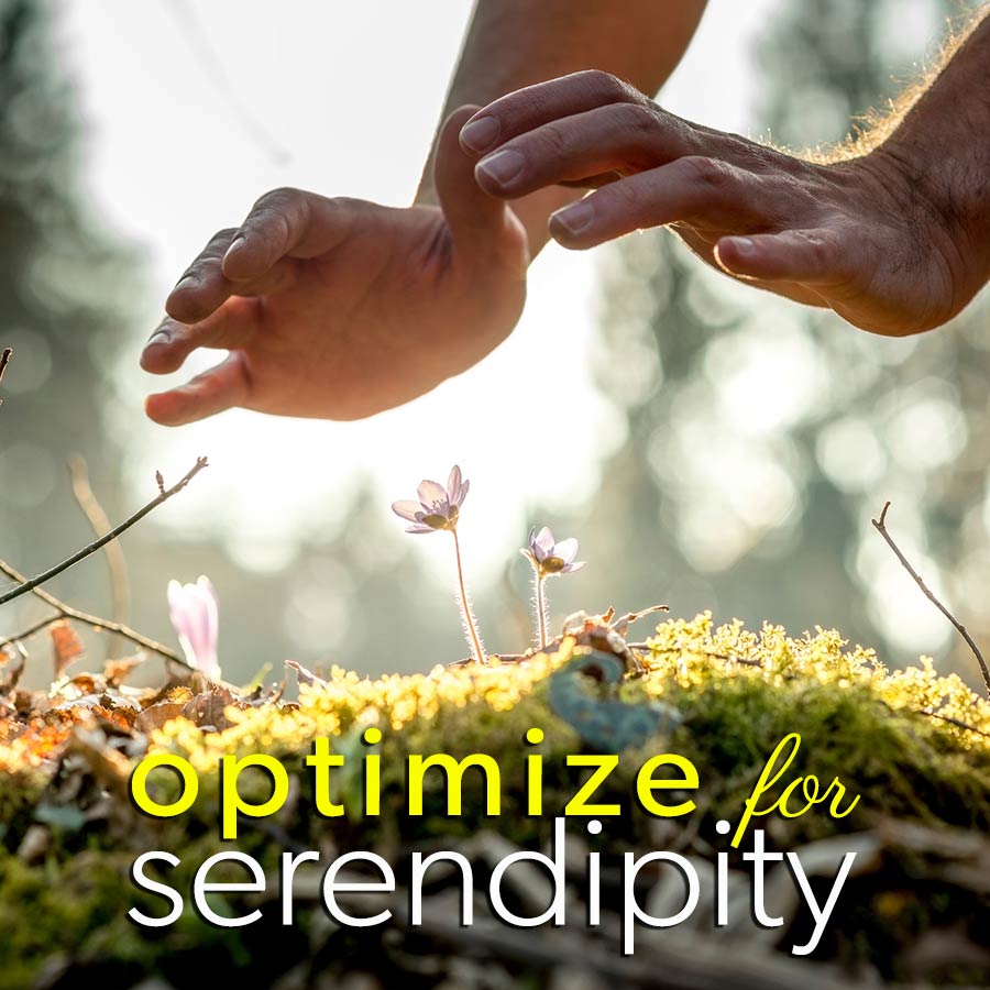 optimize for serendipity