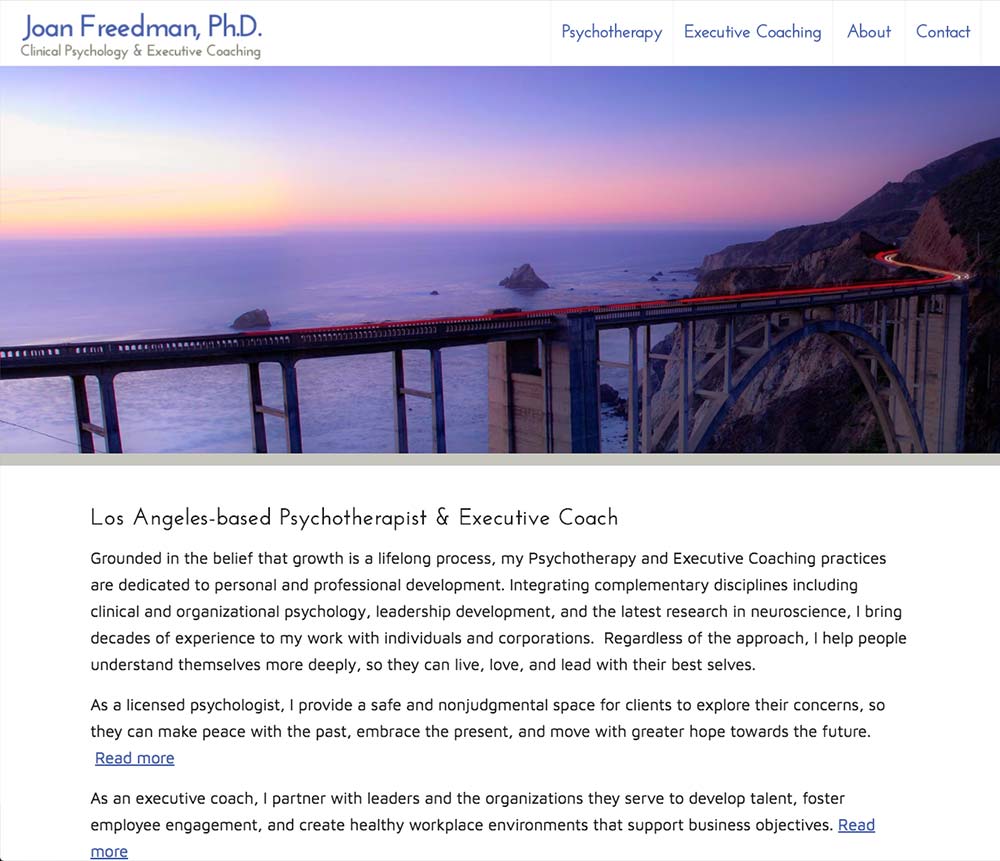 Joan Freedman Ph.D Clinical Psychology and Executive coaching