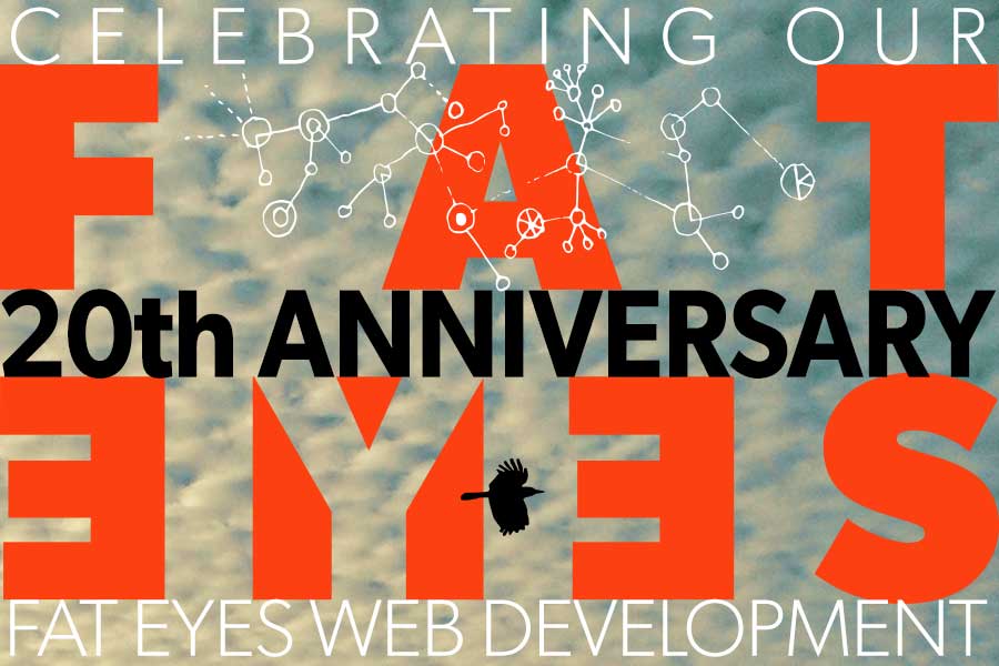20 year celebration fat eyes web development