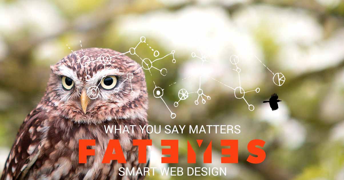 owl, what you say and smart web design