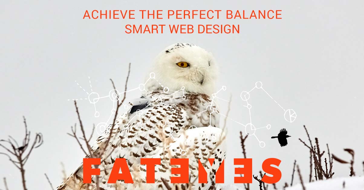 snowy owl perfect balance and smart web design