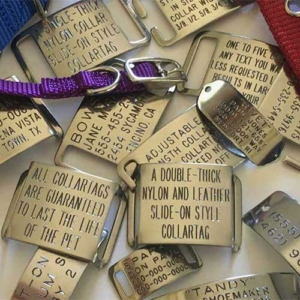 Collars and varieties of stainless steel CollarTags™ tags scattered on table surface