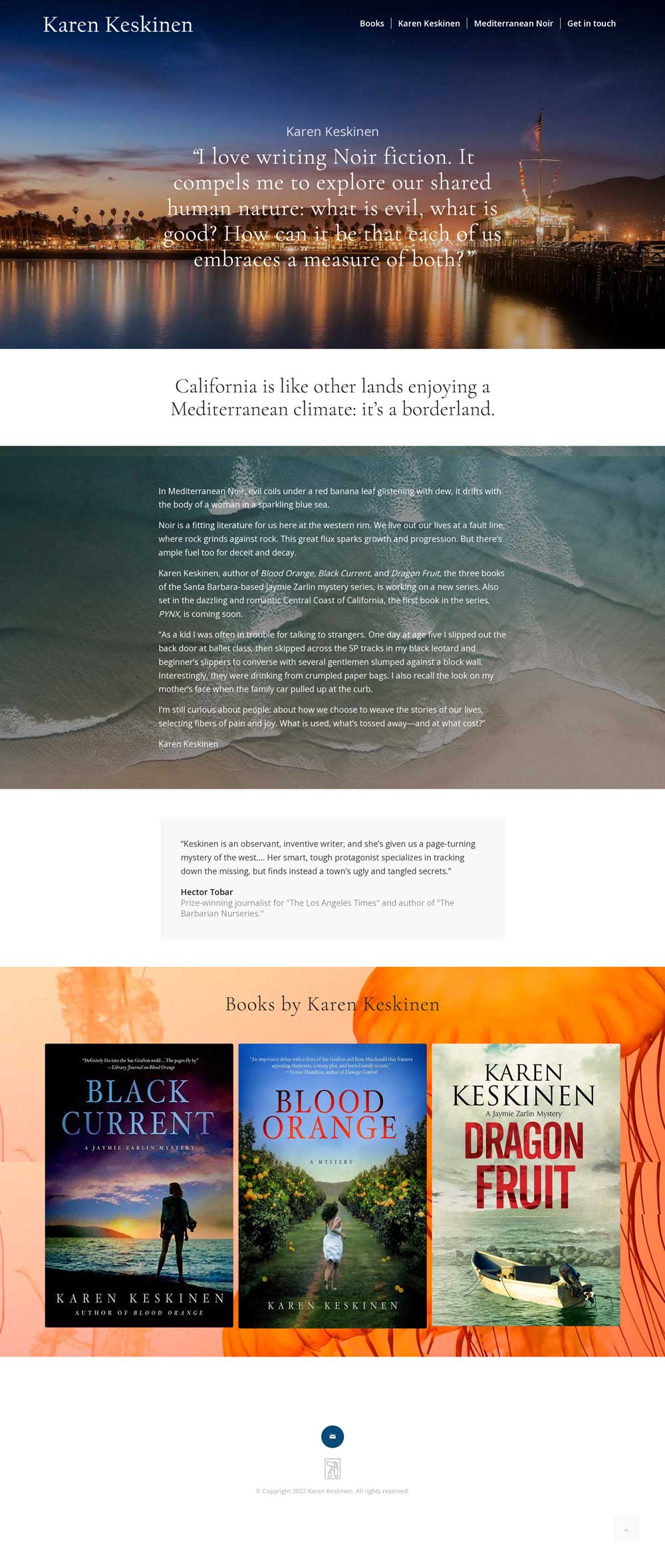 Fat Eyes website portfolio, Karen Keskinen Author Homepage