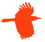 crow logo element
